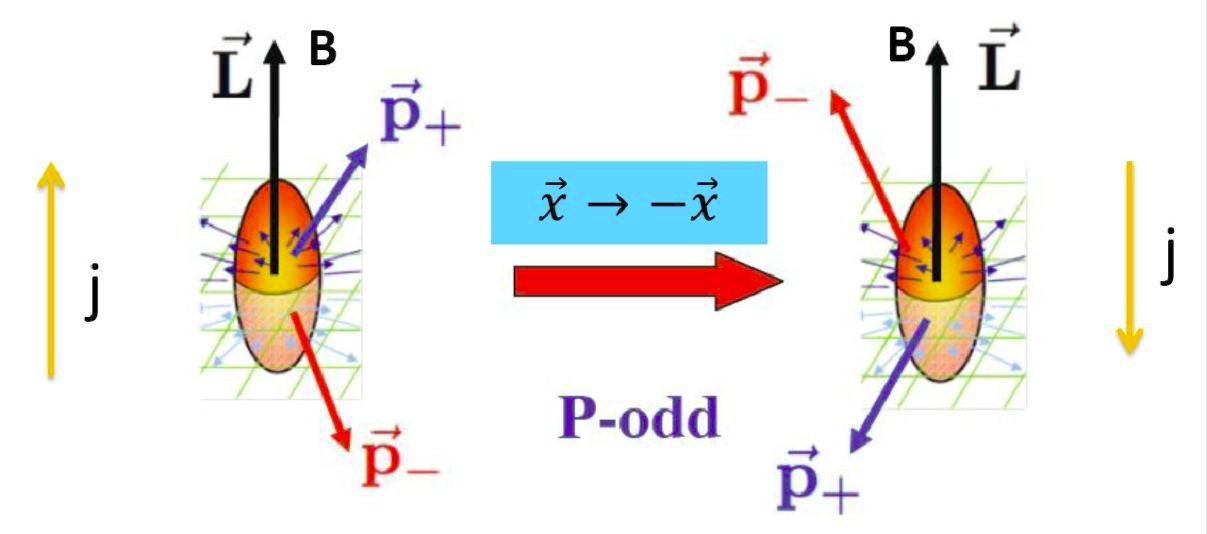 http://physics.ustc.tsg211.com/upload_files/article/23/201401/1_20140121000107_etxgt.jpg